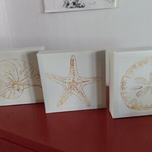 Coastal Breeze Shell Art Prints Anne Tavoletti On Canvas Set Of 3